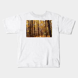 Autumn deep in forest scene on a trail Kids T-Shirt